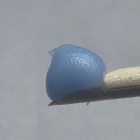 Acrylgel Blue Sky