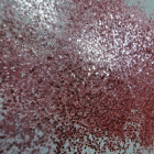 Glitter Blossom
